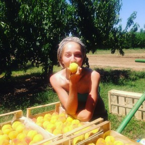 По три тонны персиков в день: командир штаба студенческих отрядов ЮУрГАУ руководит сбором фруктов