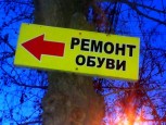 Челябинские активисты требуют снять рекламу с деревьев
