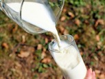 «Меркурий» найдет производителей поддельной молочной продукции на Южном Урале