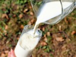 Челябинский Роспотребнадзор следит за качеством молочной продукции