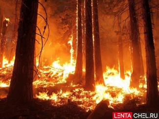 На Южном Урале за сутки ликвидировали 2 лесных пожара