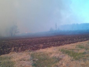 Лесные пожары подступают к Челябинску