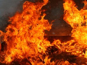Работники Красноармейского лесничества спасли деревню от пожара