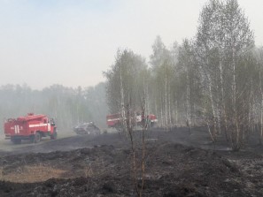 В 270 раз занижена официальная статистика по площади лесных пожаров в Челябинской области