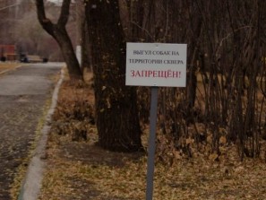 Выгул собак запретили в парках Магнитогорска