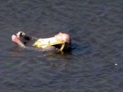 Несколько суток в холодной воде проплавал 67-летний турист, потеряв каяк
