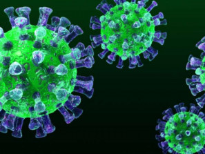 Объявлена пандемия коронавируса
