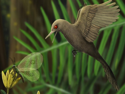 Самого крошечного динозавра нашли палеонтологи