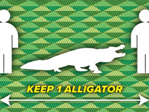«Дистанция – не меньше одного аллигатора!»