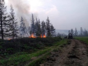Пожары в Якутии: уничтожено 300 тысяч гектаров леса