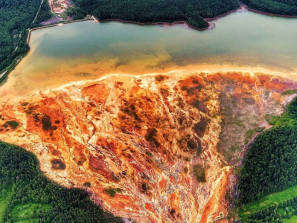 Кислотные реки под Нижним Тагилом выжигают окрестный лес и убивают все живое