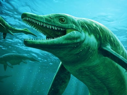 Найденный ихтиозавр умер от собственной жадности, подавившись другим ящером