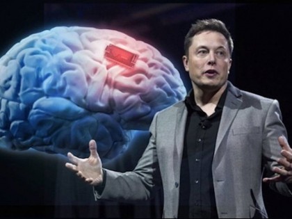 Илон Маск обещает показать работу нейросети уже 28 августа