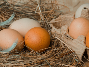 Сдерживать рост цен на мясо птицы и яйца договорились отечественные производители