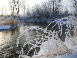 Заморозки до минус 8 градусов ожидаются в Челябинской области