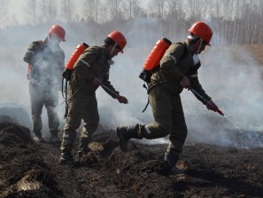 Крупный лесной пожар возник в Челябинской области