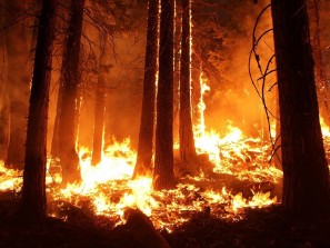 5 класс пожарной опасности фиксируют по всей территории Челябинской области