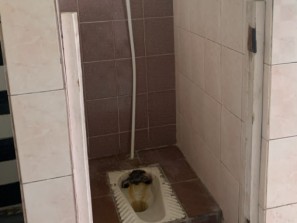 Школьные туалеты Челябинской области претендуют на то, чтобы стать худшими в России