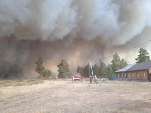 Главу Карталинского района в соцсетях обвиняют в том, что последствия лесных пожаров оказались такими тяжелыми