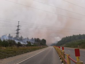 50 гектар леса горит в Свердловской области