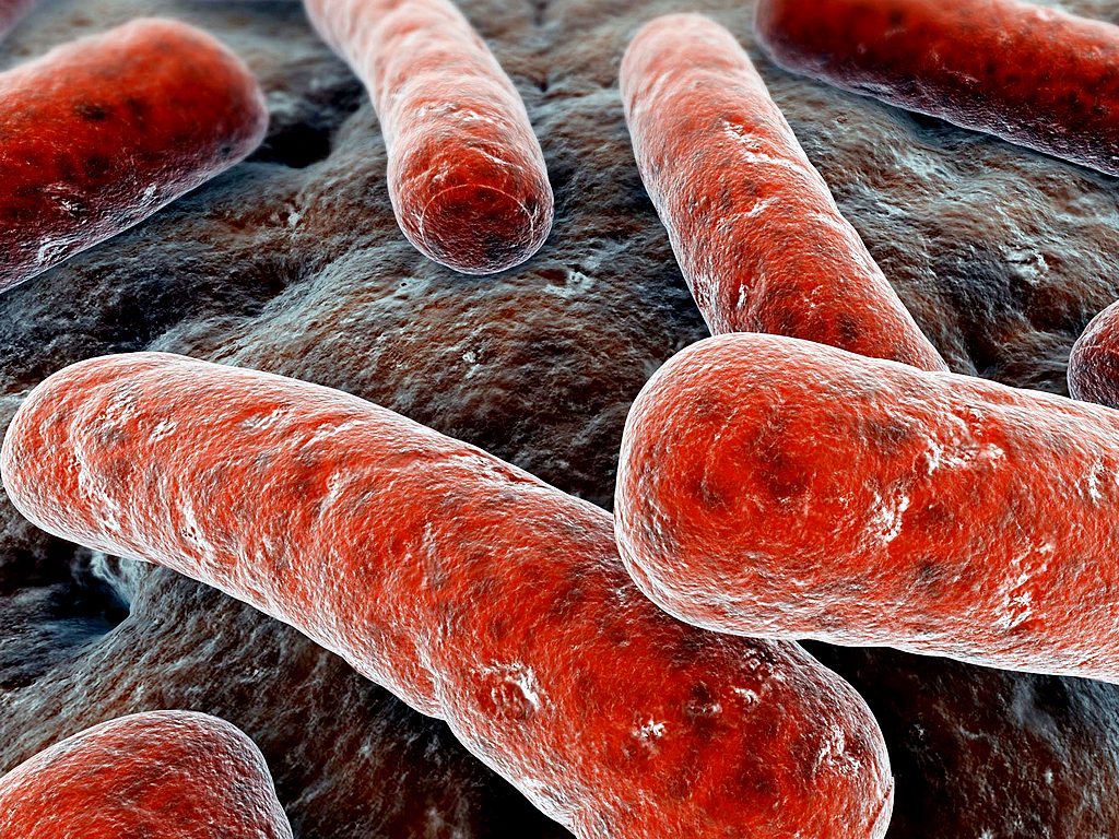 В Челябинской области увеличивается количество инфицированных туберкулезом