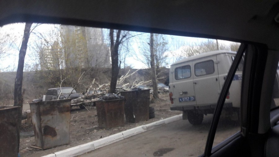 Дерево рухнуло на машины в центре Челябинска
