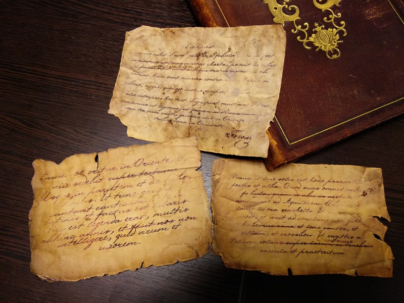 Найдены неопубликованные рукописи с подписью Н.Гоголя