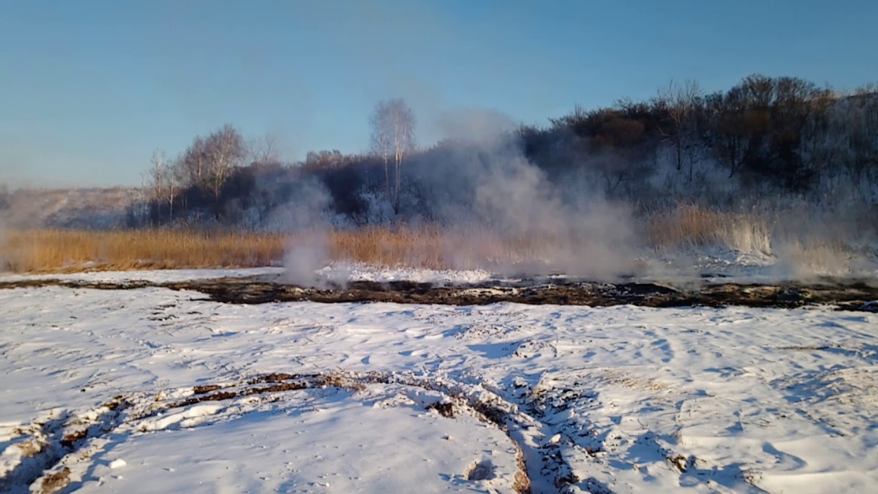 НТВ покажет сюжет об эндогенных пожарах на озере Курочкино