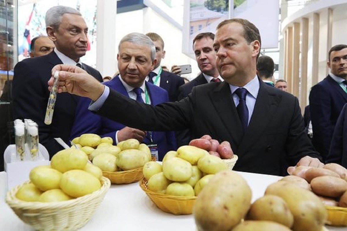 Без картошки можем остаться. Медведев призвал выводить российские семена картофеля