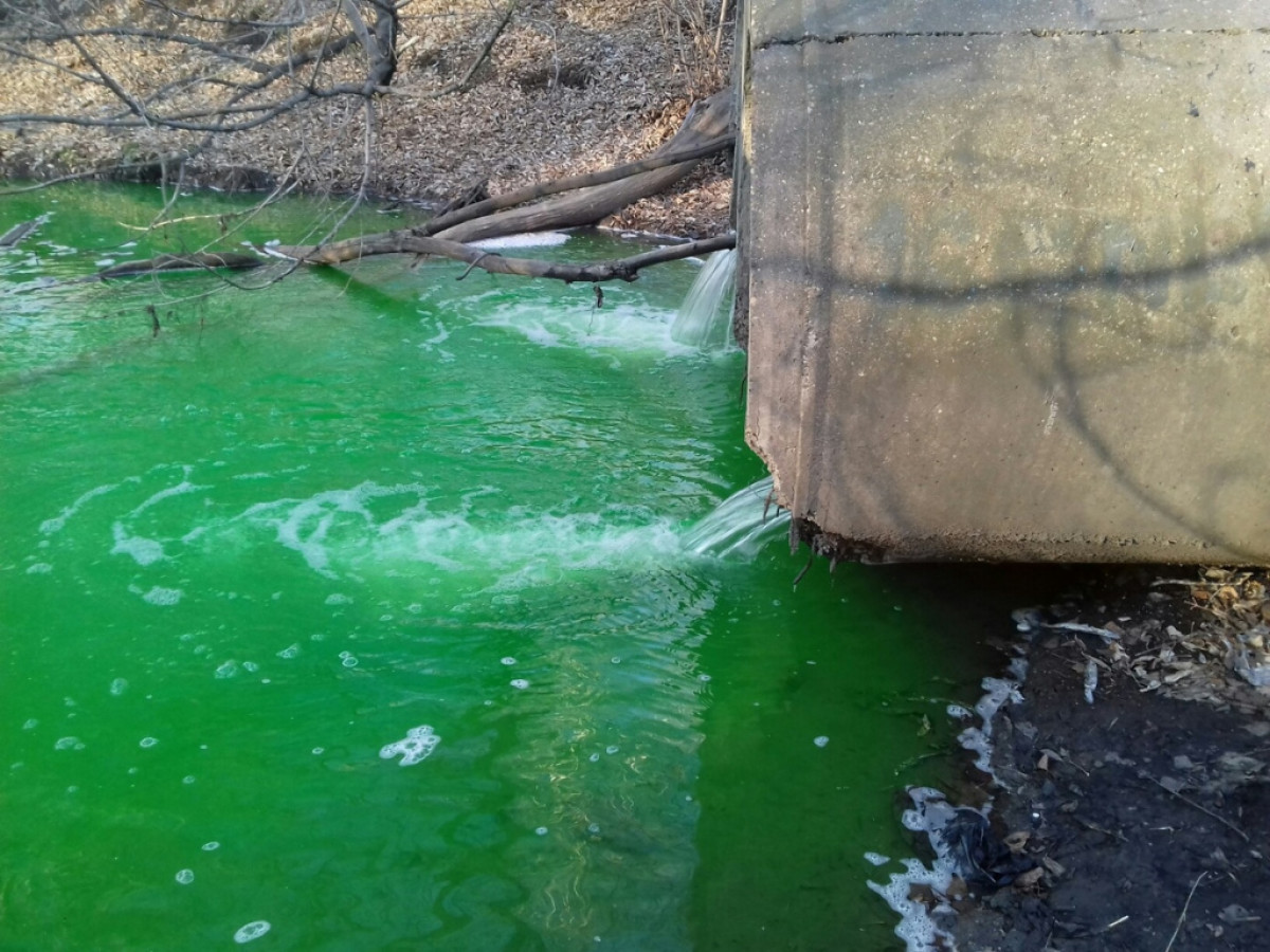 Кто выпустил зеленую реку в Металлургическом районе?