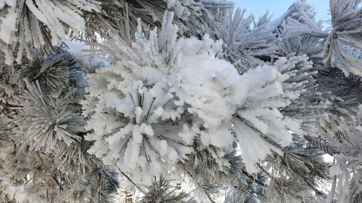 Пятигорск встретил челябинца снежными пейзажами