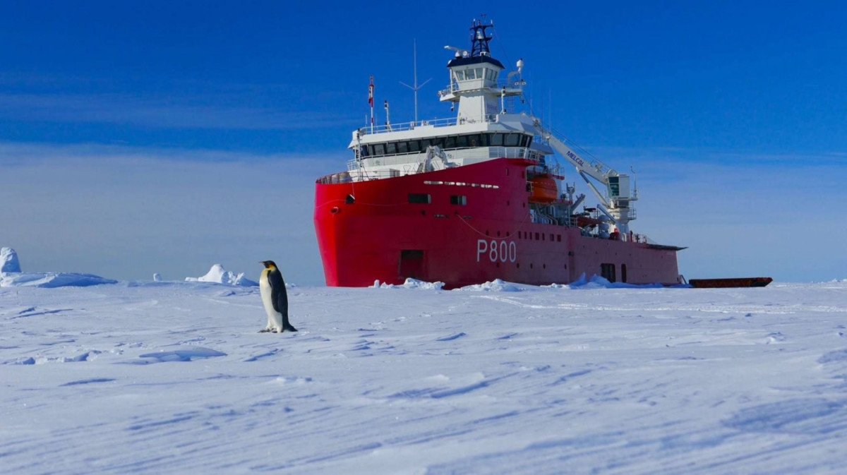 42 полярника застряли во льдах Антарктиды