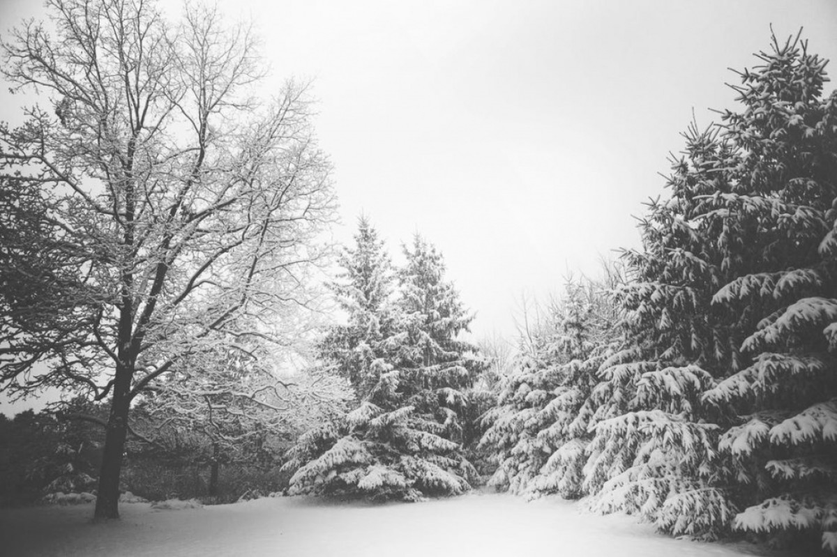 Ожидается снегопад и похолодание к Новому году в Челябинской области