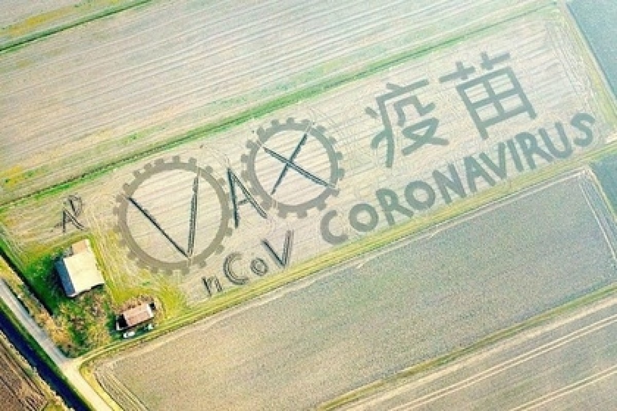 Коронавирус «нарисовали» на поле с помощью трактора