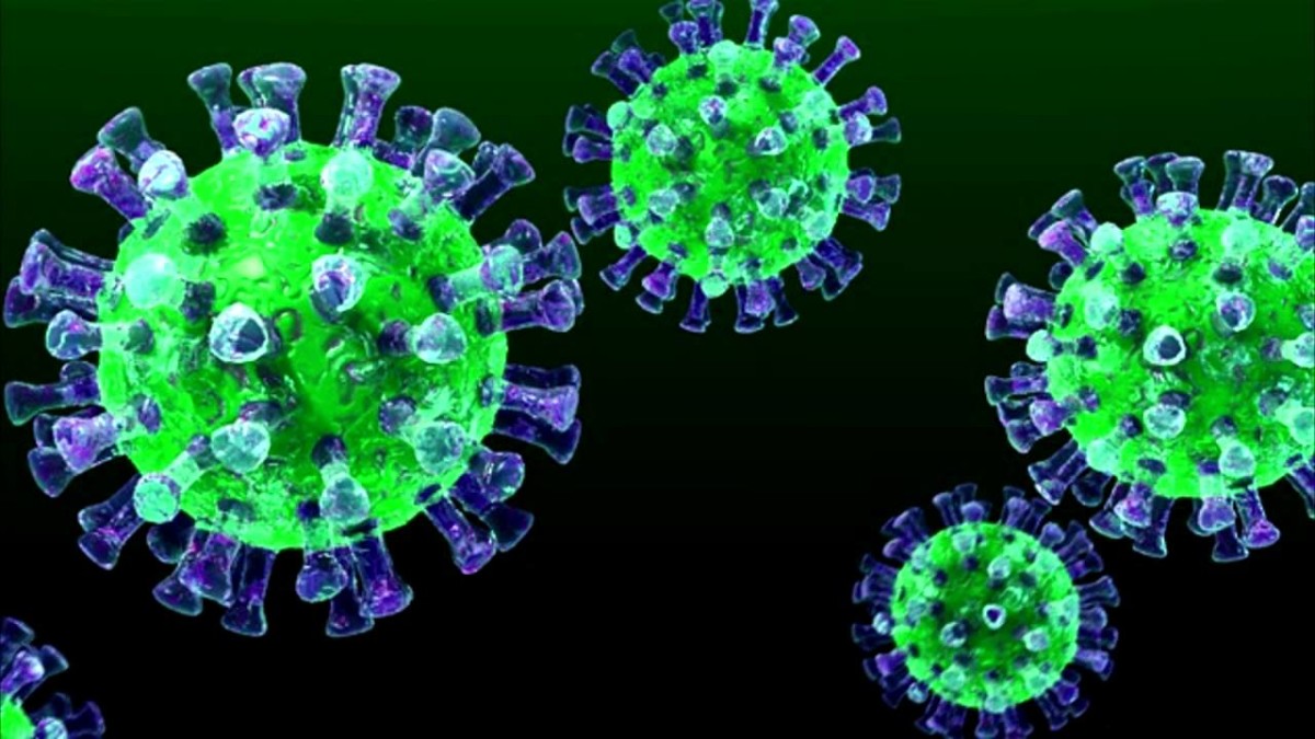 4615 человек умерли от коронавируса на планете