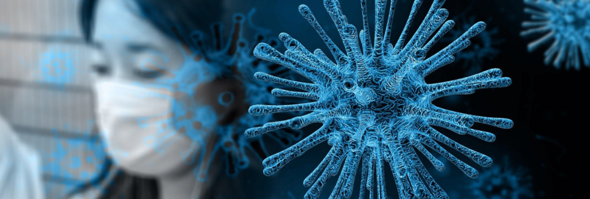 Чем больше тестов, тем больше зараженных коронавирусом?