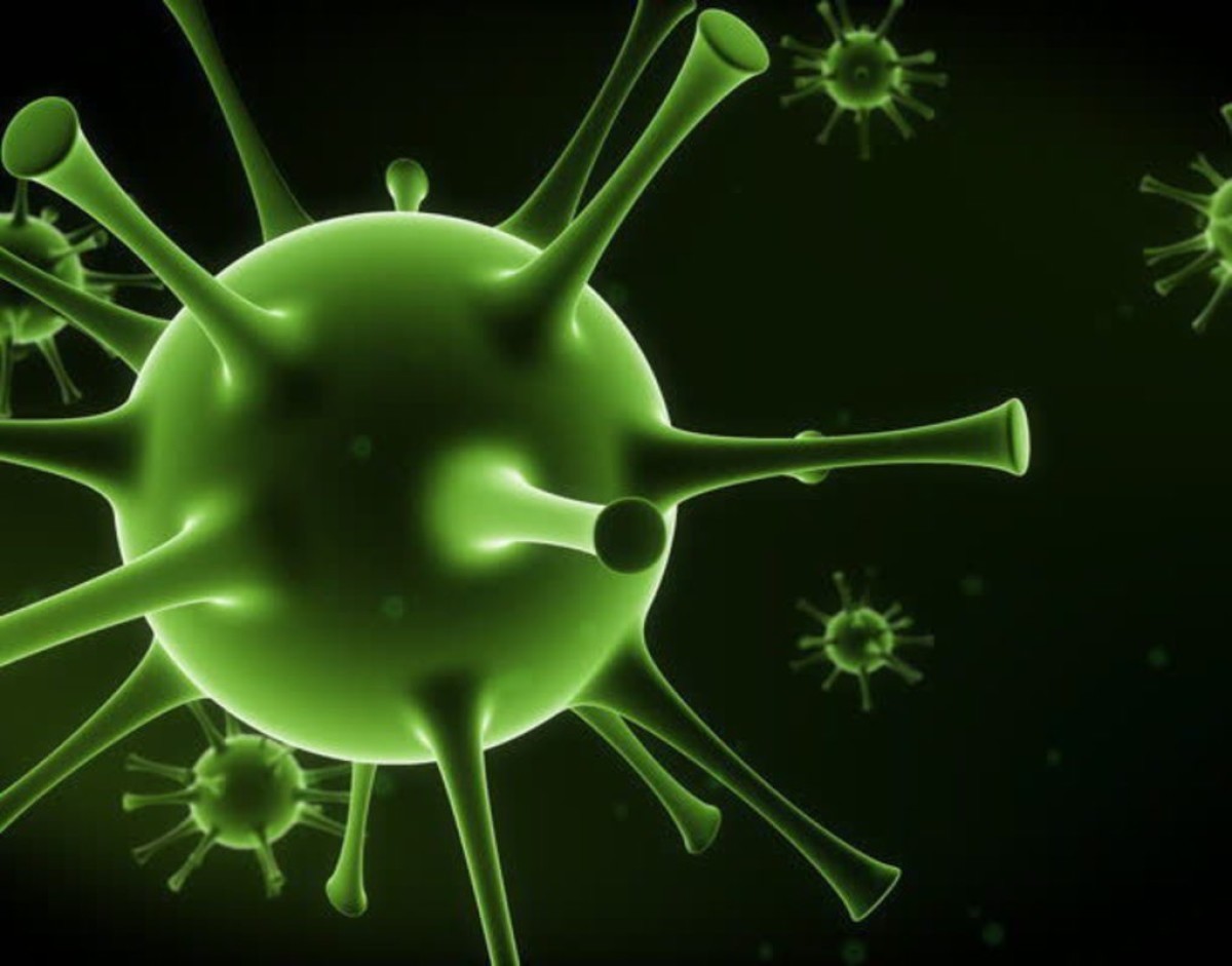 Назван самый ранний срок завершения эпидемии коронавируса в России