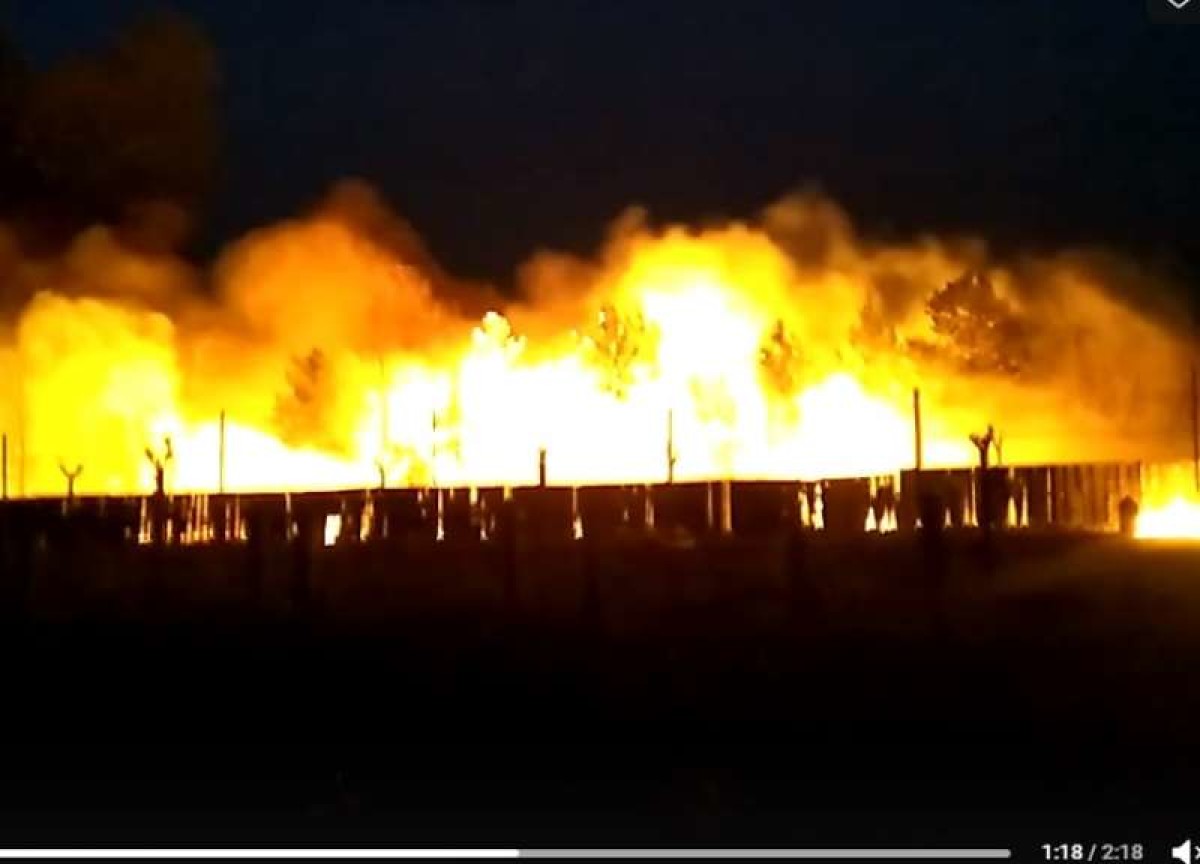 Пожар на заводе «Сигнал» в Челябинске: сперва загорелась трава
