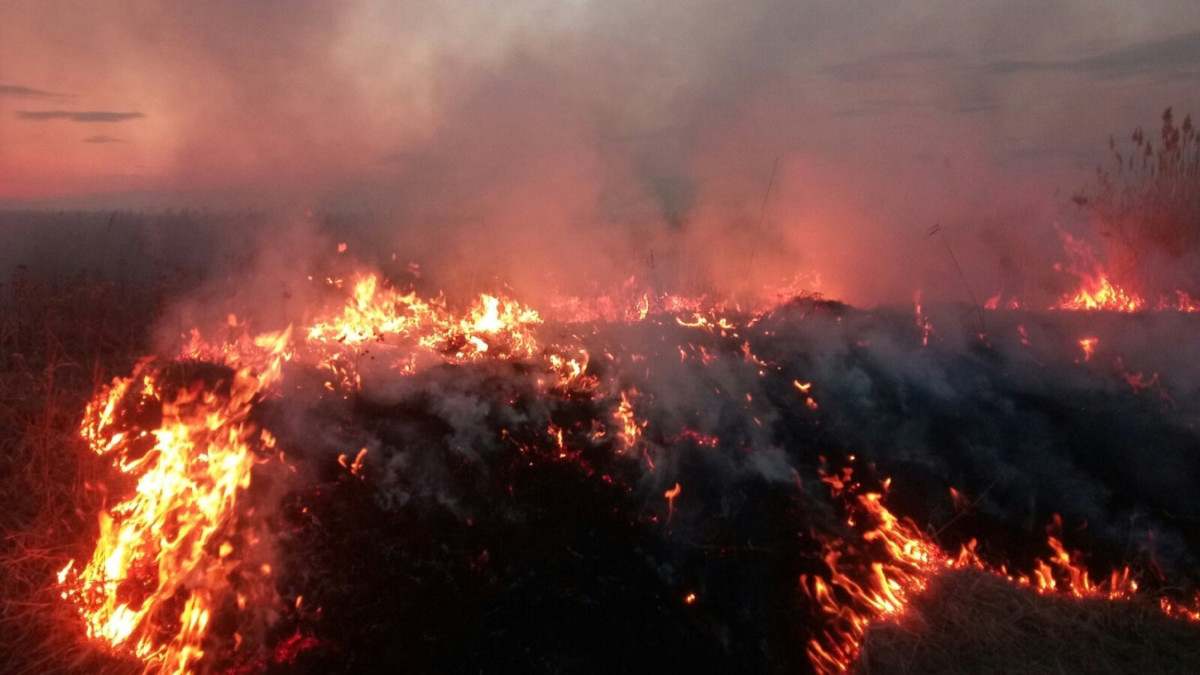 130 природных пожаров зафиксировано в Копейске. В городе стоит смог