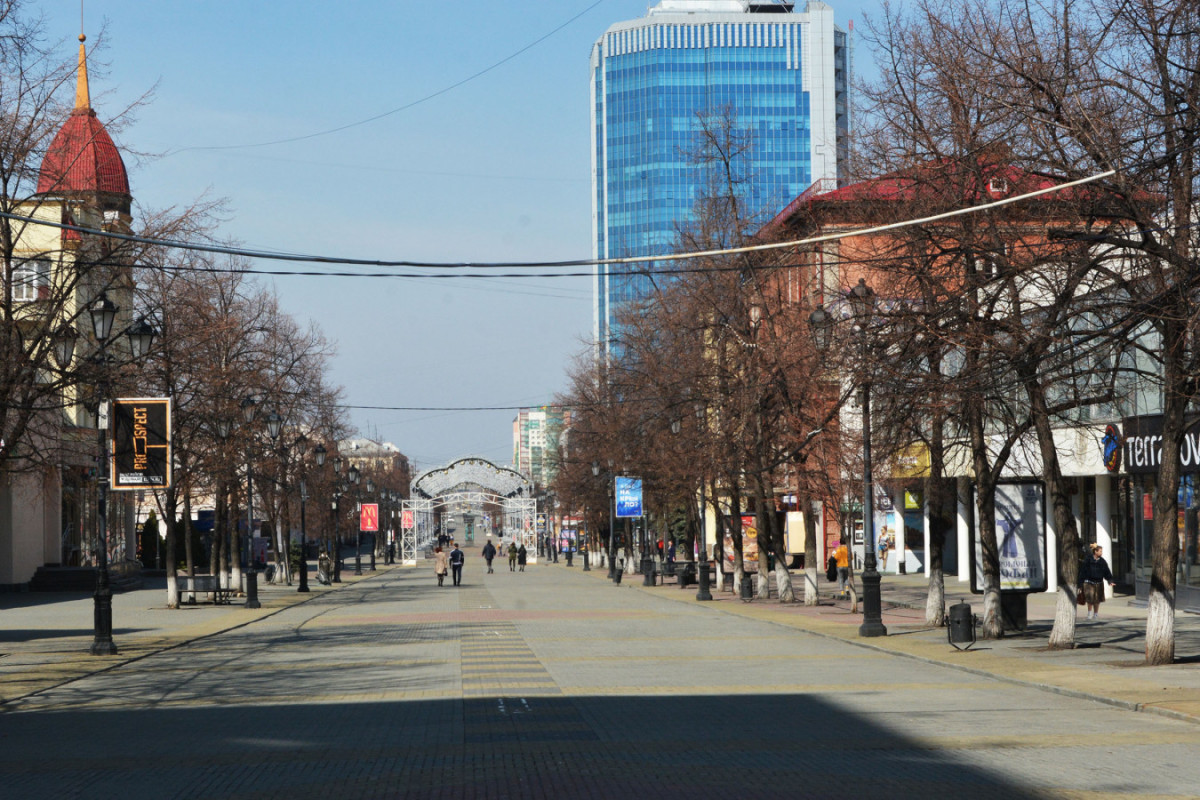 «Лесоповал» на Кировке: станет ли пешеходная улица когда-нибудь зеленым уголком?