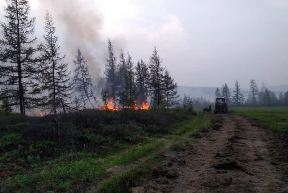 Пожары в Якутии: уничтожено 300 тысяч гектаров леса