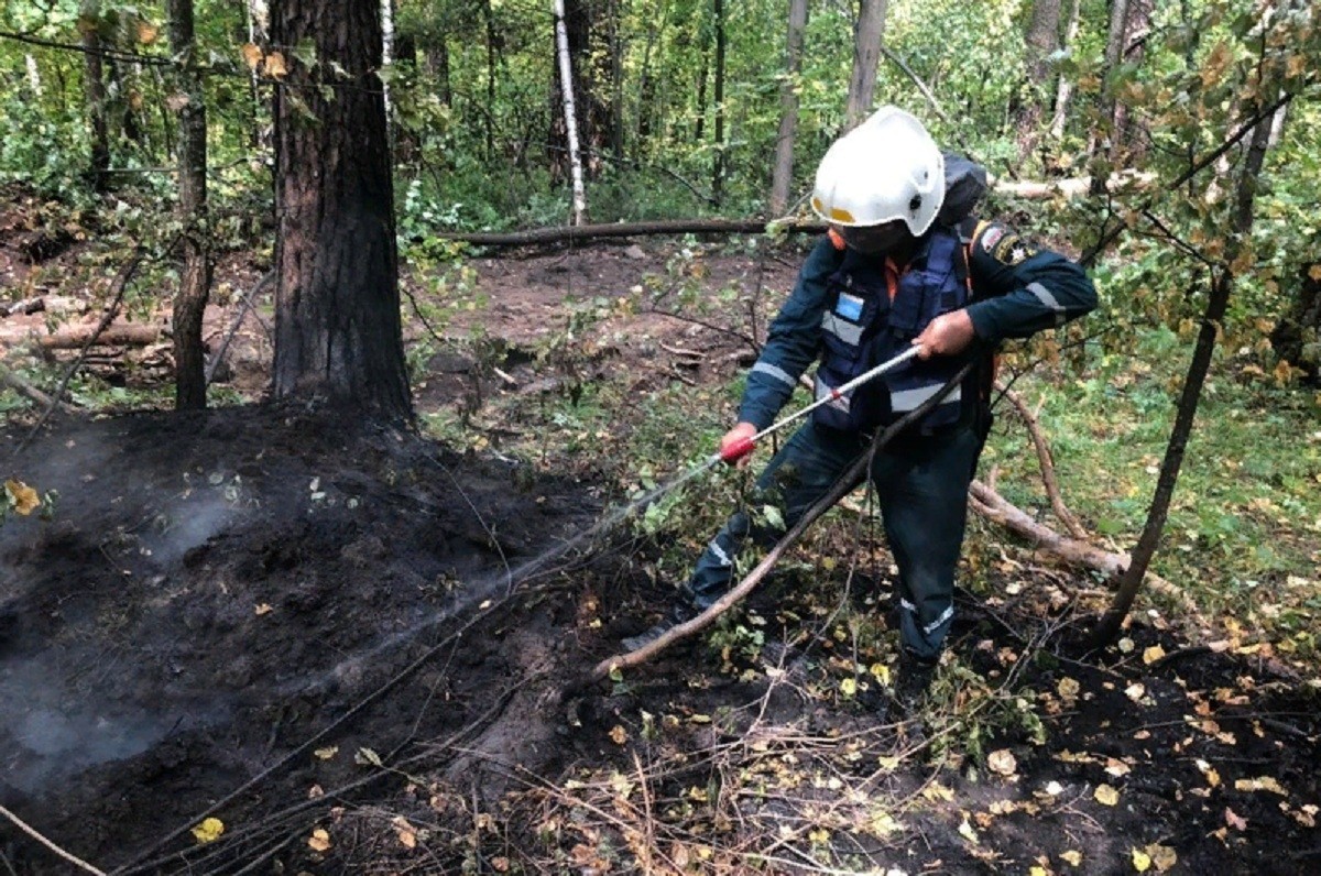 162 пожарных потушили лесной пожар близ Тургояка за несколько дней