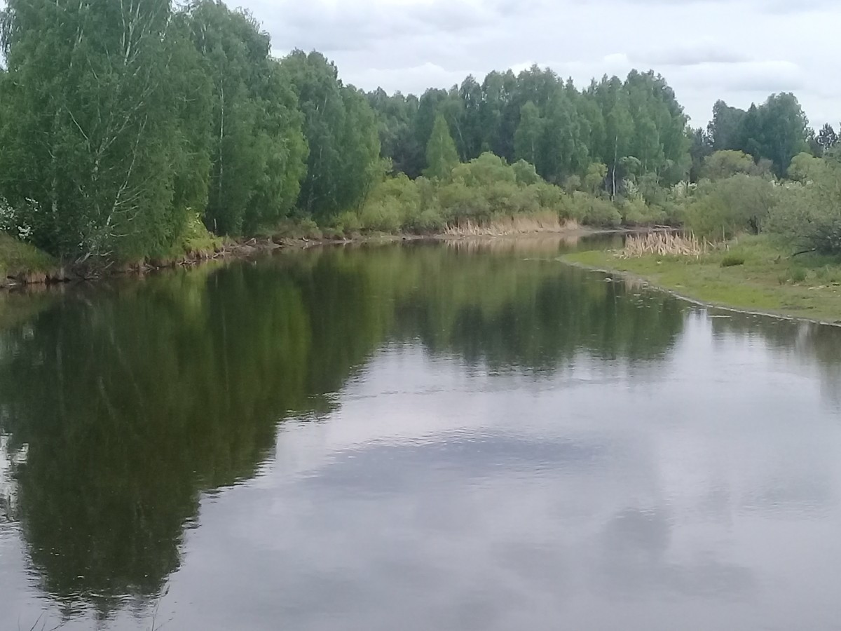Река Миасс перед Челябинском оказалась «ближе к природе»
