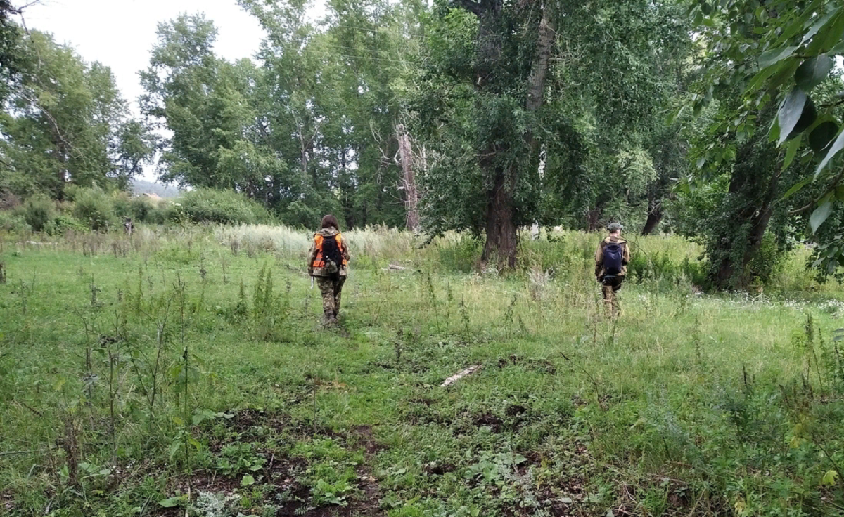 Двух пропавших пенсионерок ищут в лесах Челябинской области