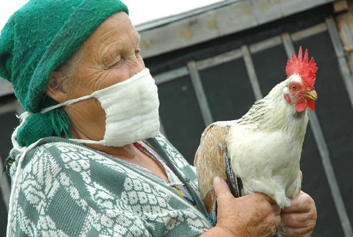Очаг птичьего гриппа зарегистрировали в Челябинской области