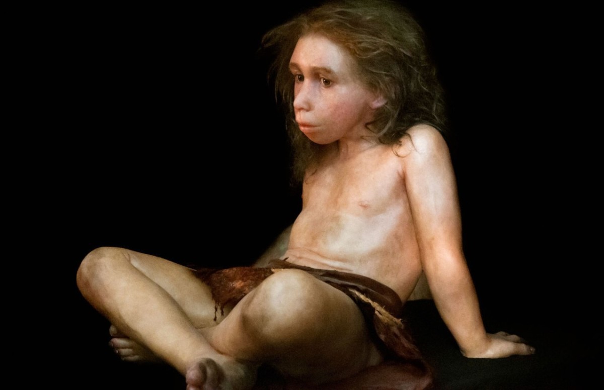 Молочный зуб ребенка последних неандертальцев нашли в Италии