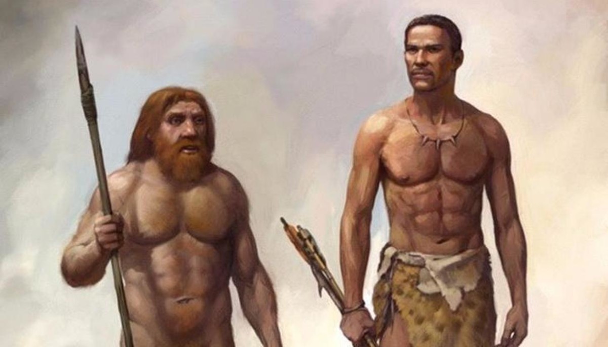 Повод для мужской гордости: мы «наградили» своей Y-хромосомой неандертальцев