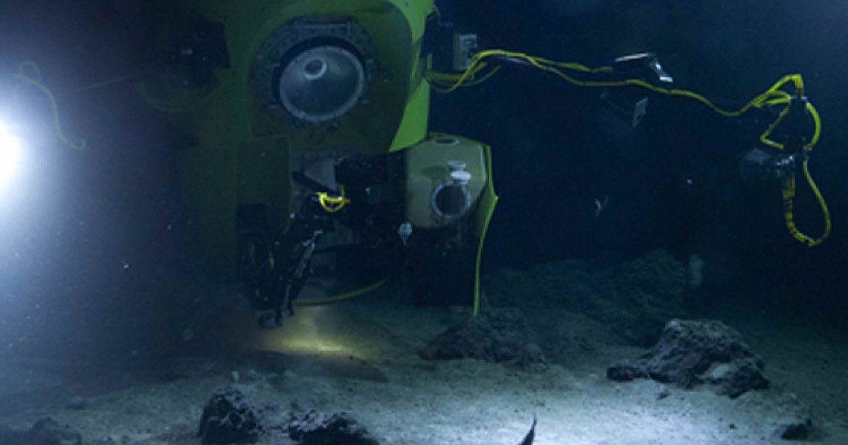 Жутких и странных существ из морских пучин сняла глубоководная камера