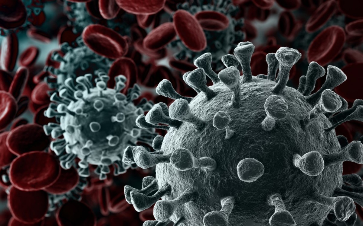 Иммунолог: в стране выявляется всего лишь четверть зараженных коронавирусом
