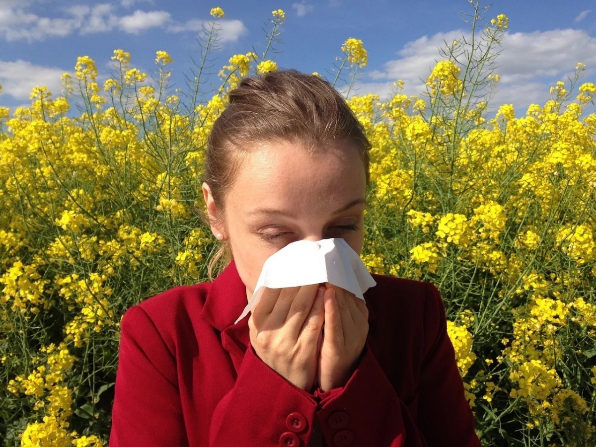Перечислены весенние аллергены и меры защиты от них